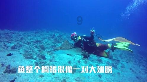小僵尸射飞鸟